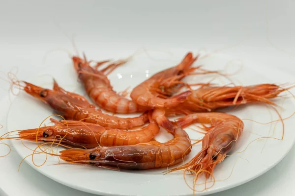 Gamba de altura