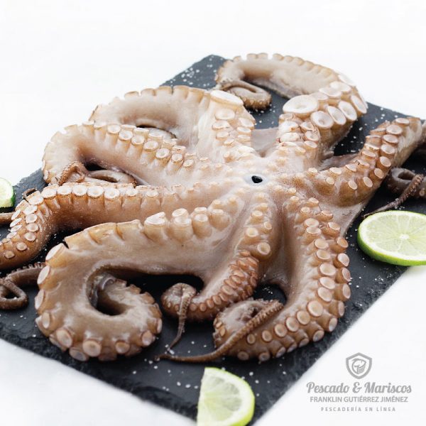 Pulpo